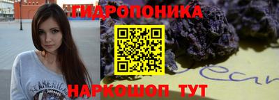 хмурый Гусь-Хрустальный
