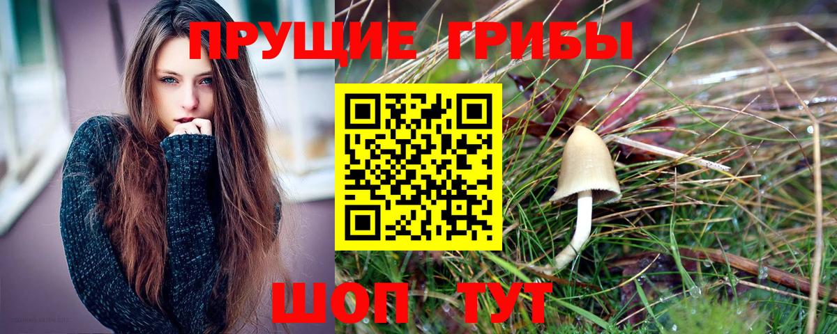 Псилоцибиновые грибы GOLDEN TEACHER Урюпинск