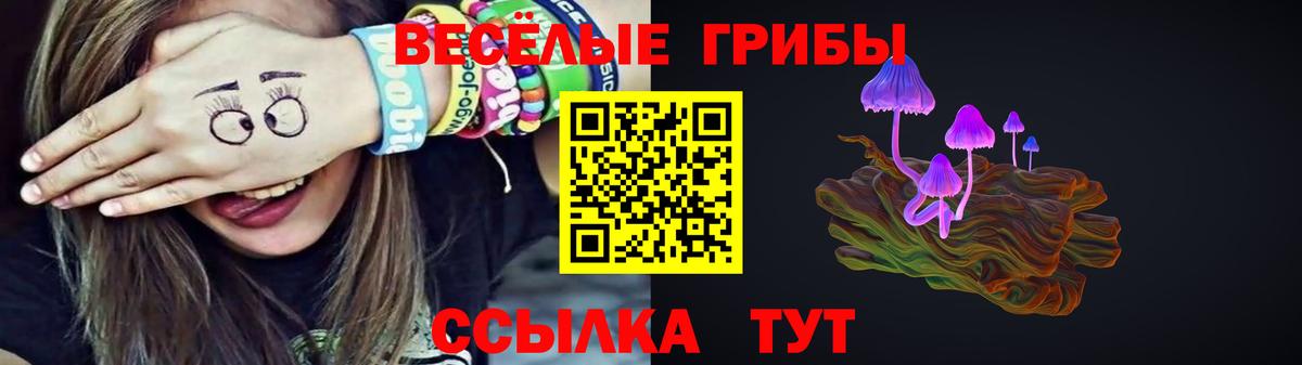 Псилоцибиновые грибы мицелий  закладка  Урюпинск  Вход с VPN 